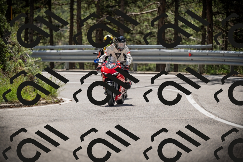 20250531121748-DSC_4418_am_