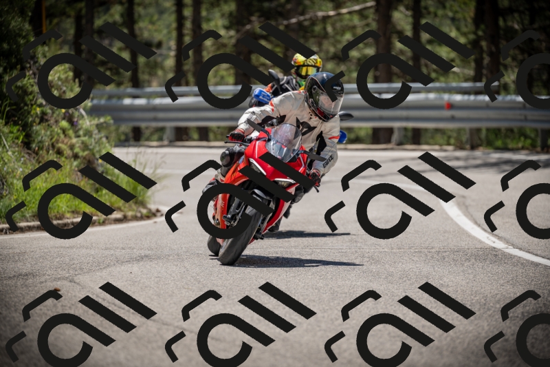 20250531121749-DSC_4419_am_