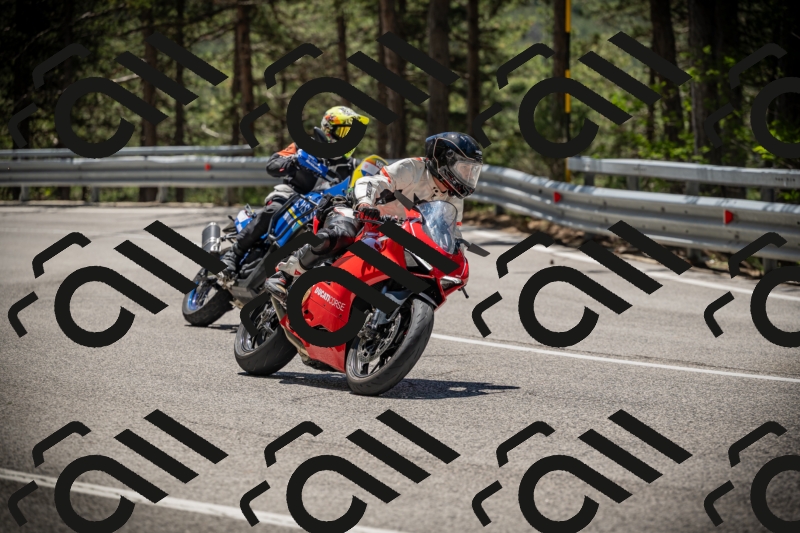 20250531121749-DSC_4420_am_