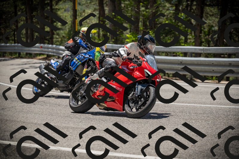 20250531121750-DSC_4421_am_