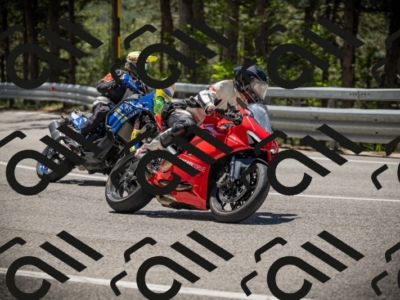 20250531121750-DSC_4421_am_