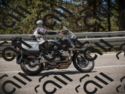 20250531121835-DSC_4444_am_