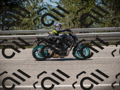 20250531121838-DSC_4449_am_