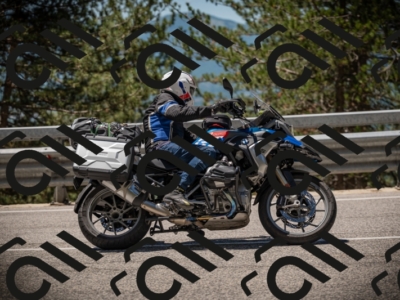 20250531121841-DSC_4452_am_