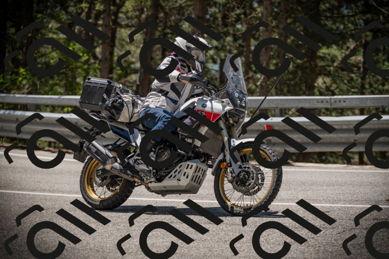 20250531121843-DSC_4455_am_