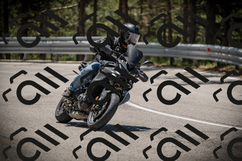 20250531122022-DSC_4470_am_