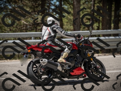 20250531122029-DSC_4474_am_