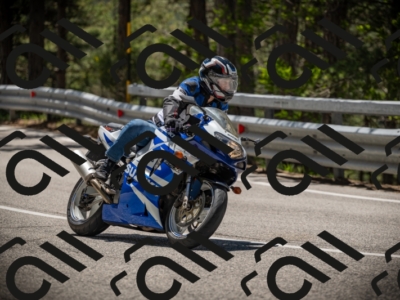 20250531122051-DSC_4478_am_