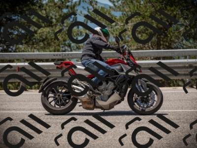 20250531122058-DSC_4482_am_