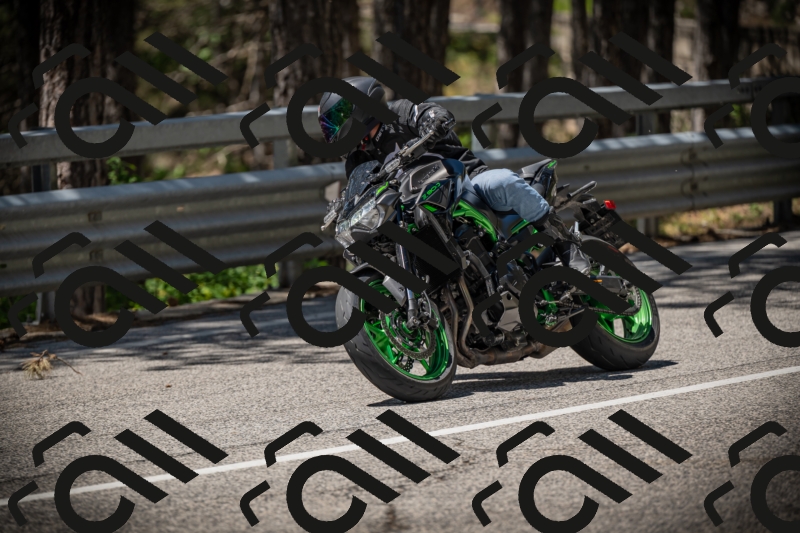 20250531122115-DSC_4488_am_