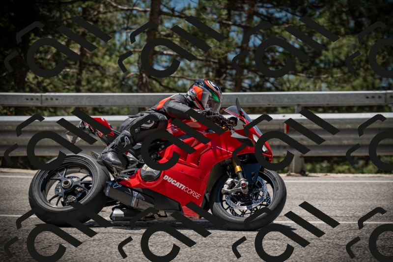 20250531122143-DSC_4495_am_