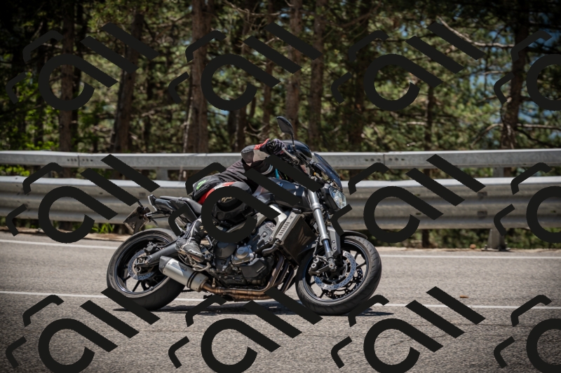 20250531122230-DSC_4519_am_