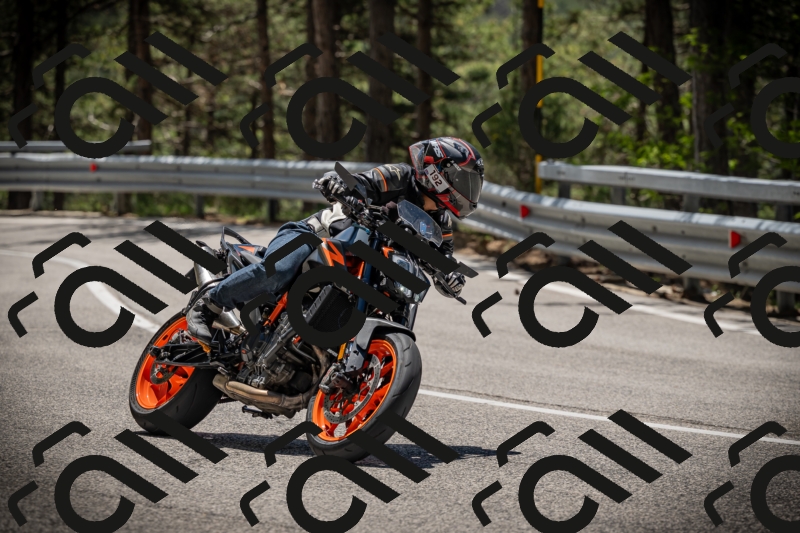 20250531122247-DSC_4522_am_