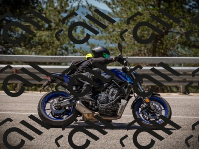 20250531122258-DSC_4533_am_