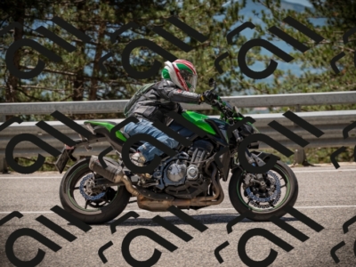 20250531122503-DSC_4540_am_