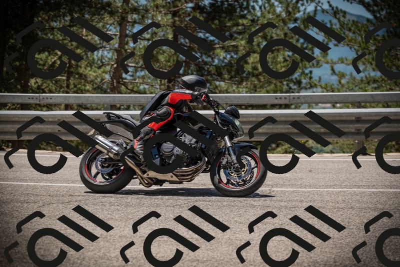 20250531122512-DSC_4545_am_