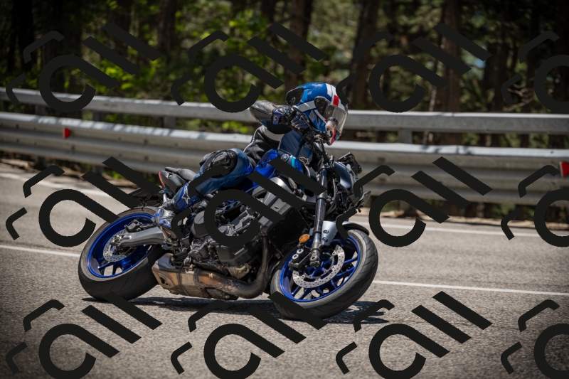 20250531122656-DSC_4569_am_