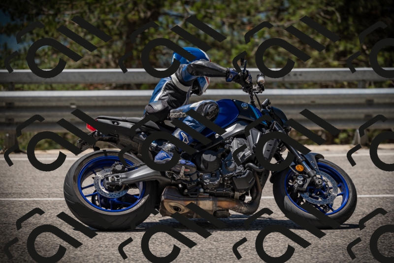 20250531122656-DSC_4570_am_