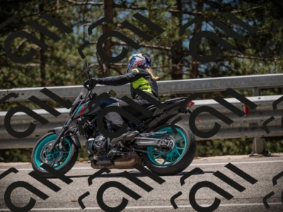 20250531122803-DSC_4584_am_