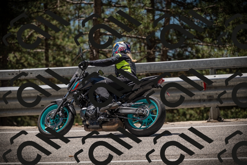 20250531122803-DSC_4584_am_