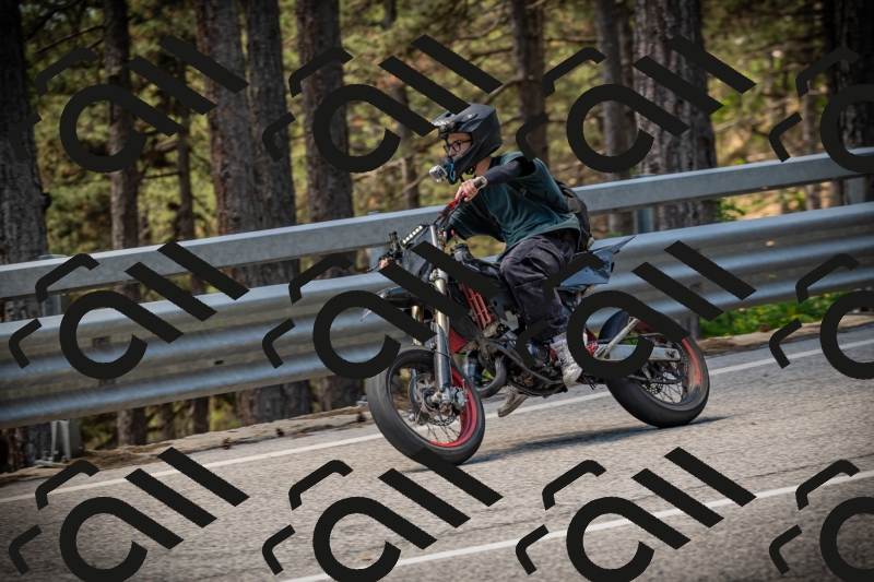 20250531122843-DSC_4592_am_