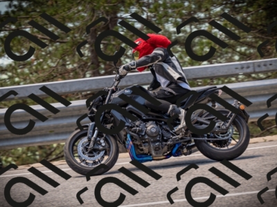 20250531122846-DSC_4596_am_