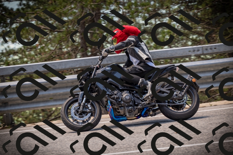 20250531122846-DSC_4596_am_