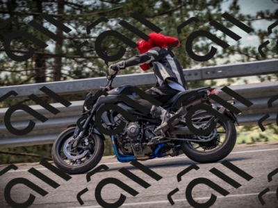 20250531122847-DSC_4597_am_