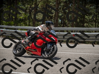 20250531123132-DSC_4606_am_