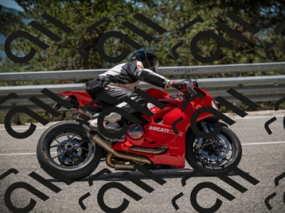 20250531123132-DSC_4608_am_