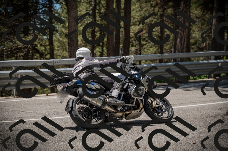 20250531123317-DSC_4625_am_