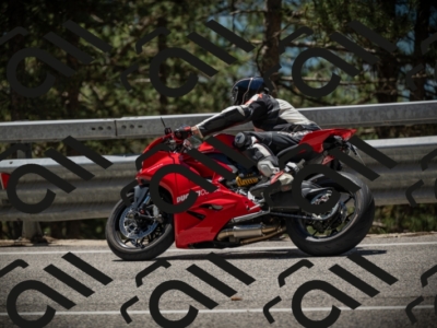 20250531123323-DSC_4628_am_