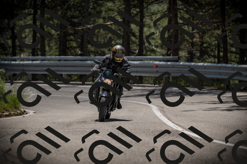 20250531123426-DSC_4631_am_