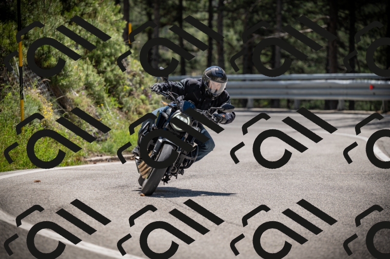 20250531123434-DSC_4635_am_