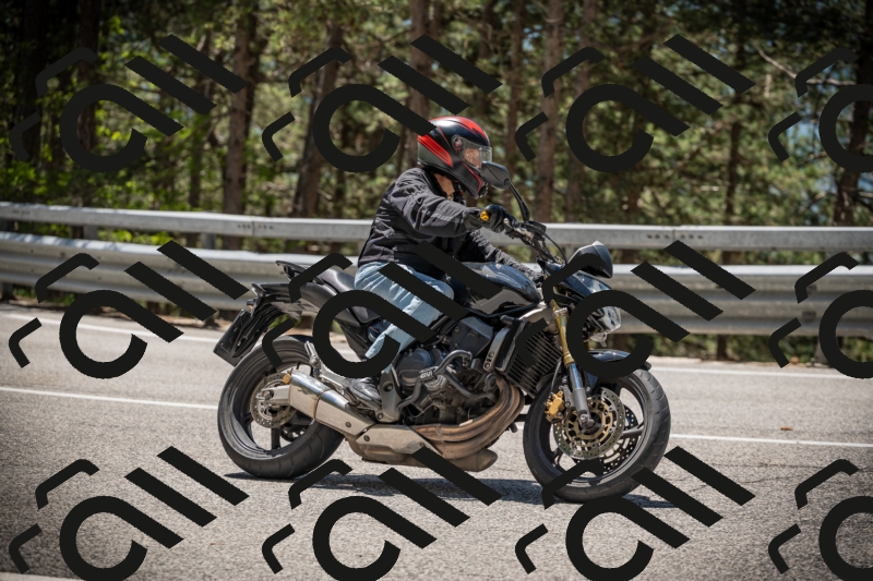 20250531123532-DSC_4642_am_