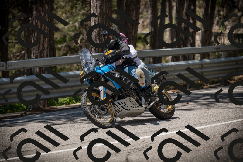 20250531123643-DSC_4658_am_