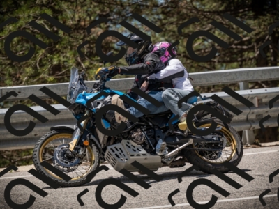 20250531123643-DSC_4659_am_