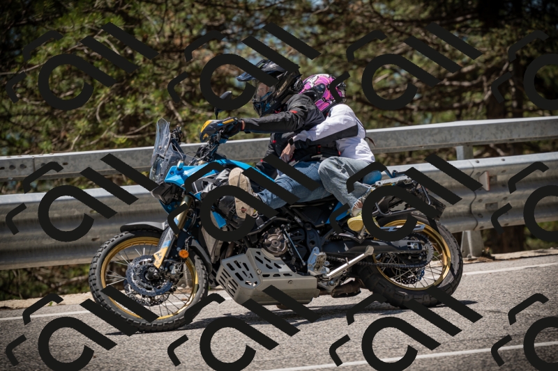 20250531123643-DSC_4659_am_