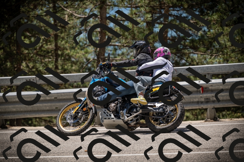 20250531123644-DSC_4661_am_