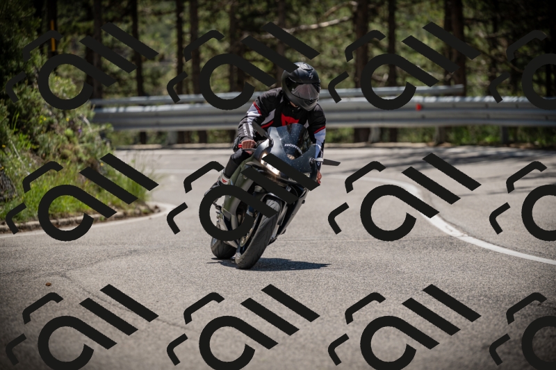 20250531124003-DSC_4695_am_