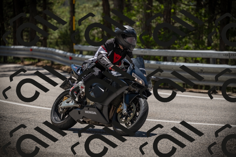 20250531124004-DSC_4696_am_