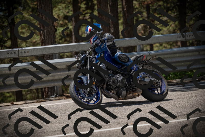 20250531124125-DSC_4706_am_