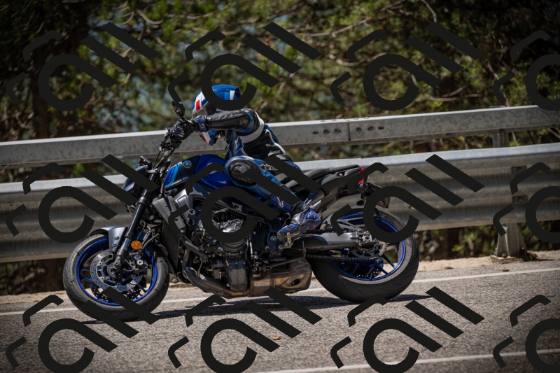 20250531124125-DSC_4707_am_