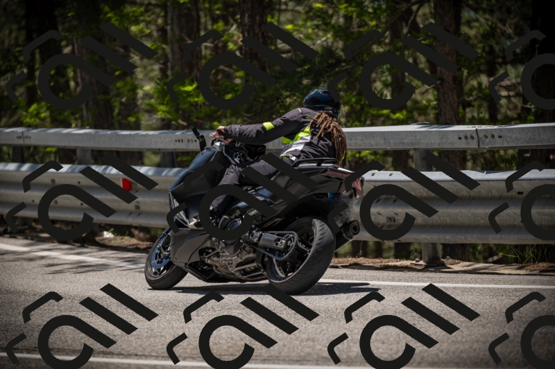 20250531124155-DSC_4712_am_