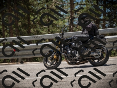 20250531124214-DSC_4720_am_