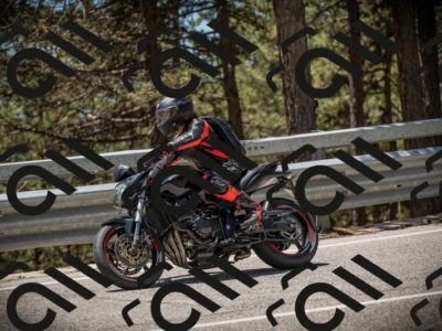 20250531124216-DSC_4721_am_