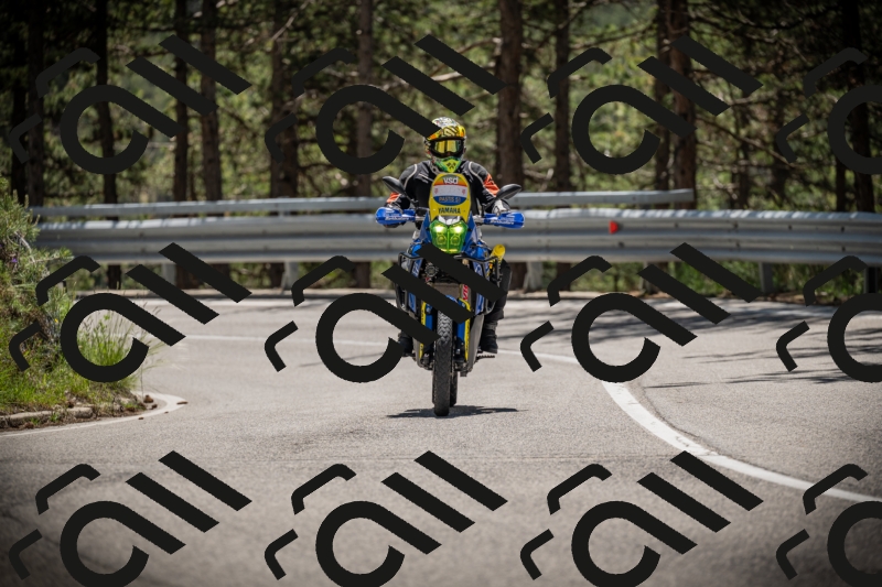 20250531124249-DSC_4724_am_