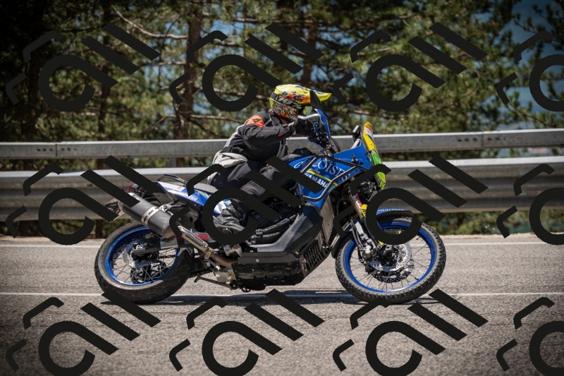 20250531124251-DSC_4727_am_