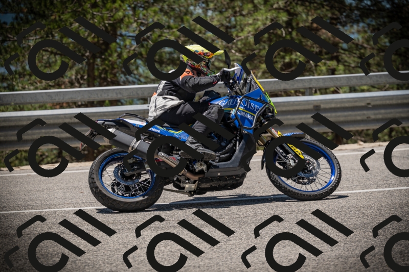 20250531124251-DSC_4728_am_