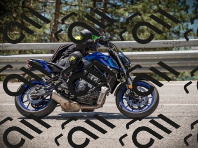 20250531124341-DSC_4739_am_